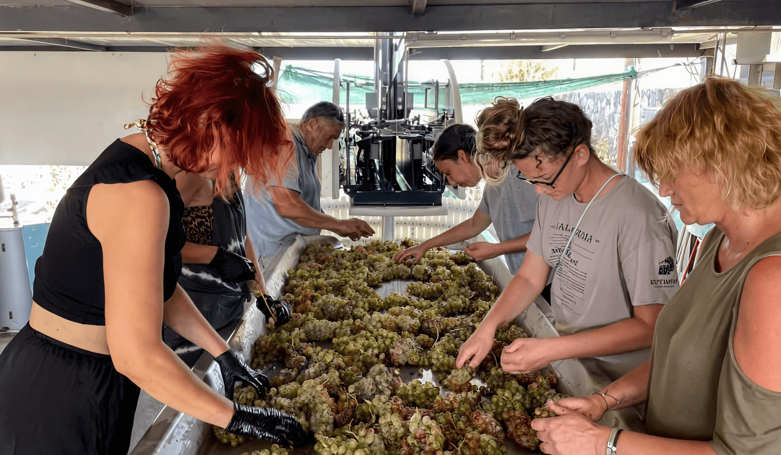 Wine production