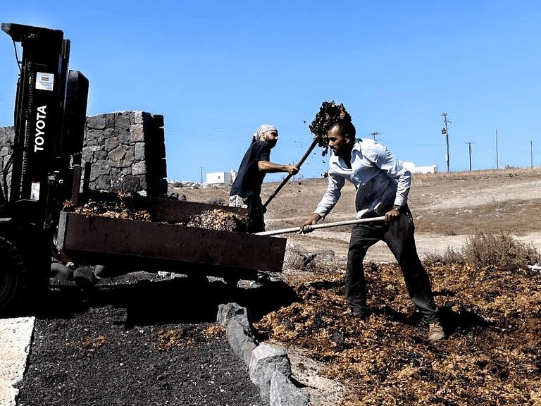 Winemaking tradition