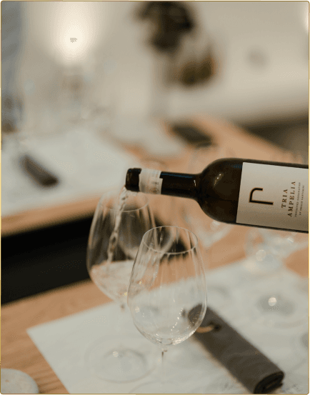 Wine glass