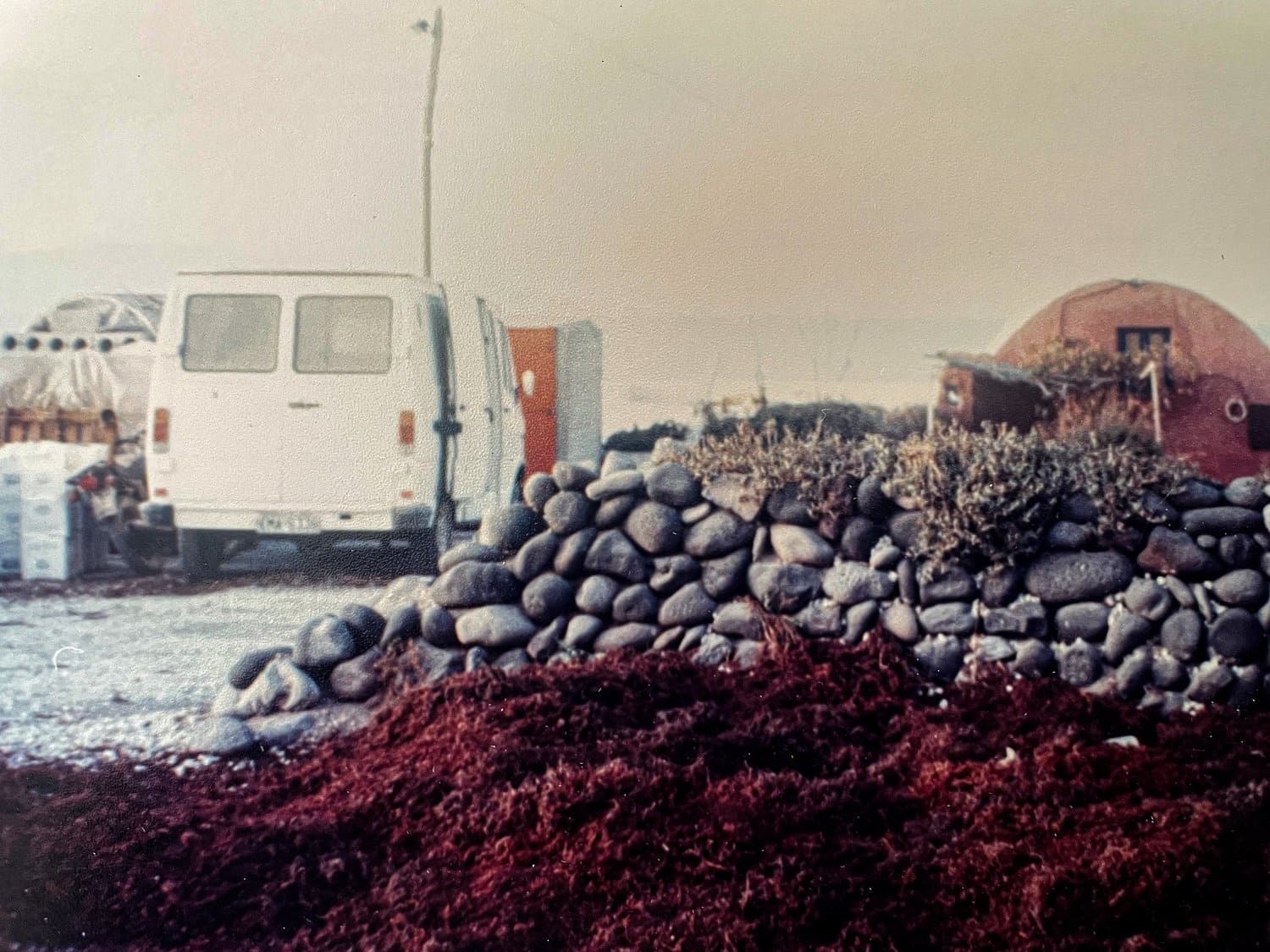 Historical wine barrels