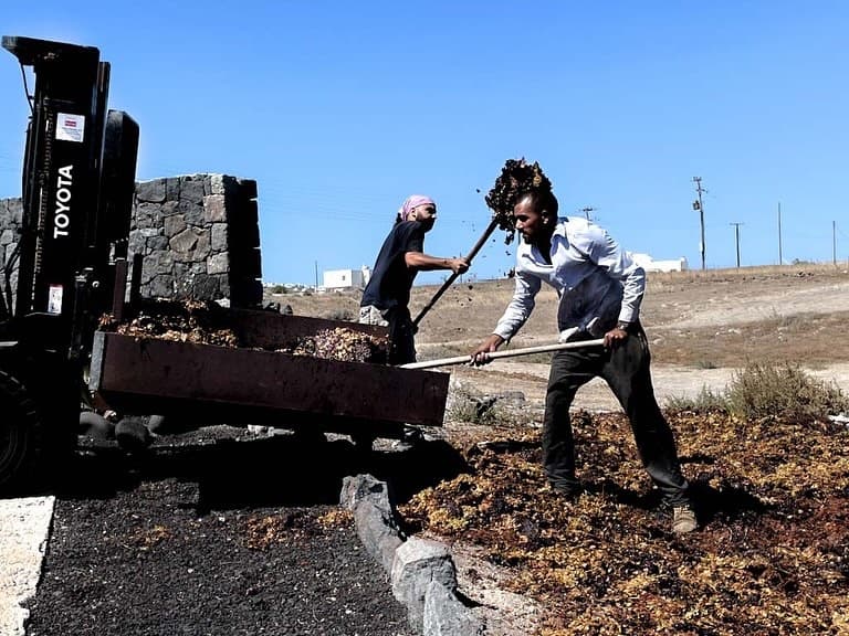 Winemaking tradition